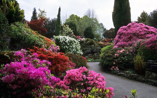 Flower Gardening