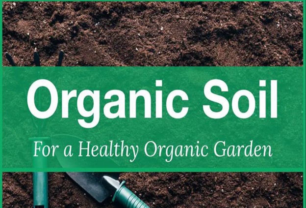 3 Tips for Organic Gardening Soil