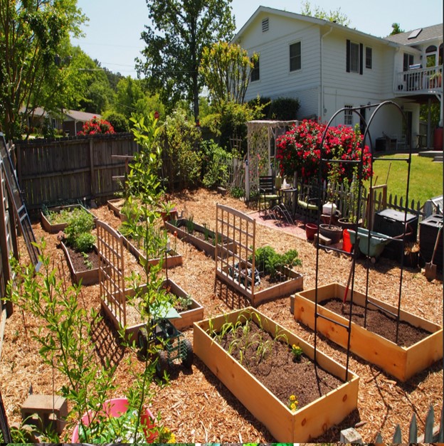 Building and Planting Vegetable Gardens - Sunrise - Sunset - Nature ...