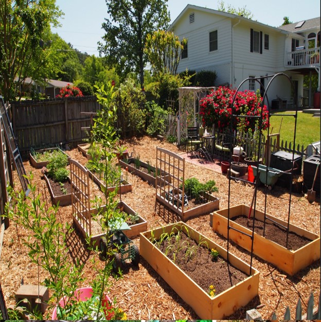 Building and Planting Vegetable Gardens