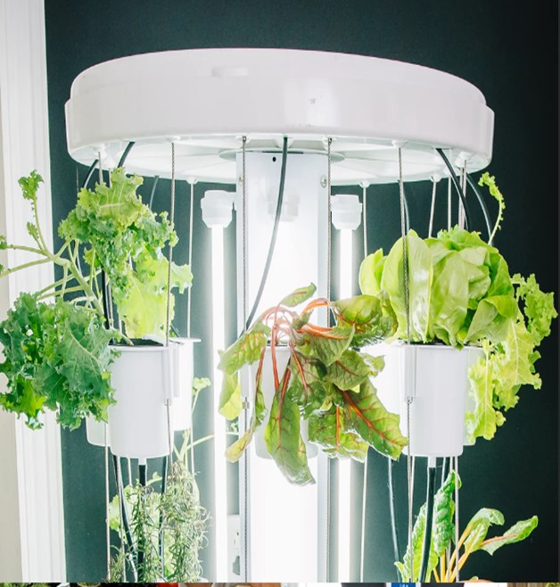 Indoor And Organic Gardening Excellent Ideas How to Start It