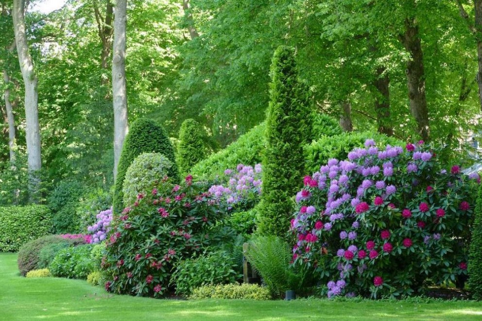 Choose The Best Plants for Your Landscaping Project