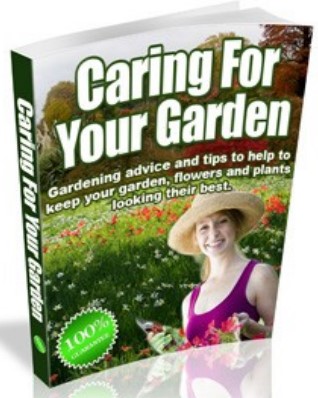 Caring For Your Garden