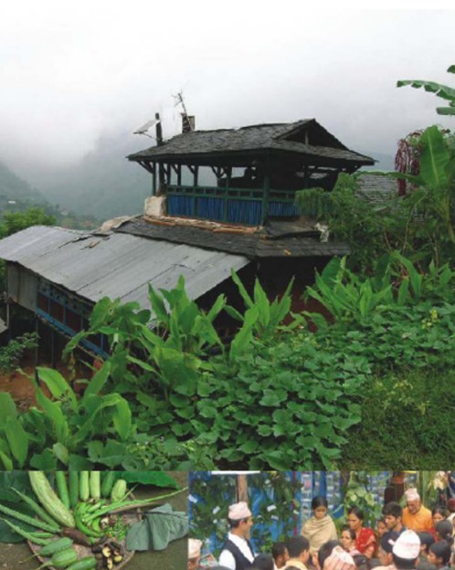 Home Gardens in Nepal