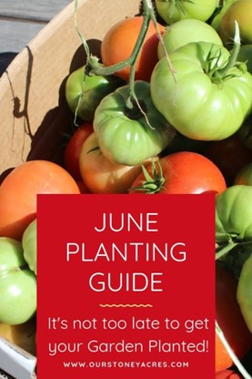 June Tips About Fruits, Mulches