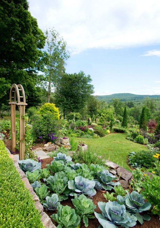 Requisites Of The Home Vegetable Garden