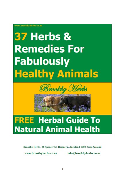 37 Herbs & Remedies For Fabulously Healthy Animals