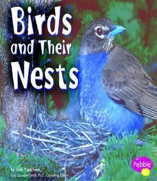 BIRDS AND THEIR NESTS