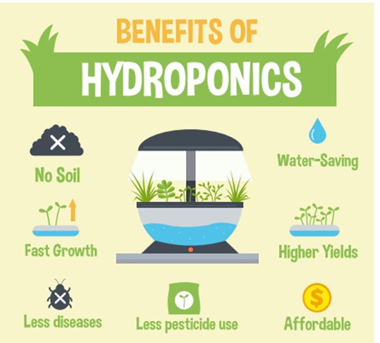 Benefits Of Hydroponics