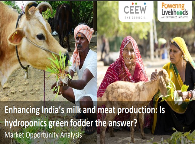 Enhancing India’s Milk and Meat Production Is Hydroponics Green Fodder the Answer?