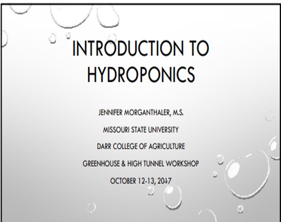 Introductions to Hydroponics