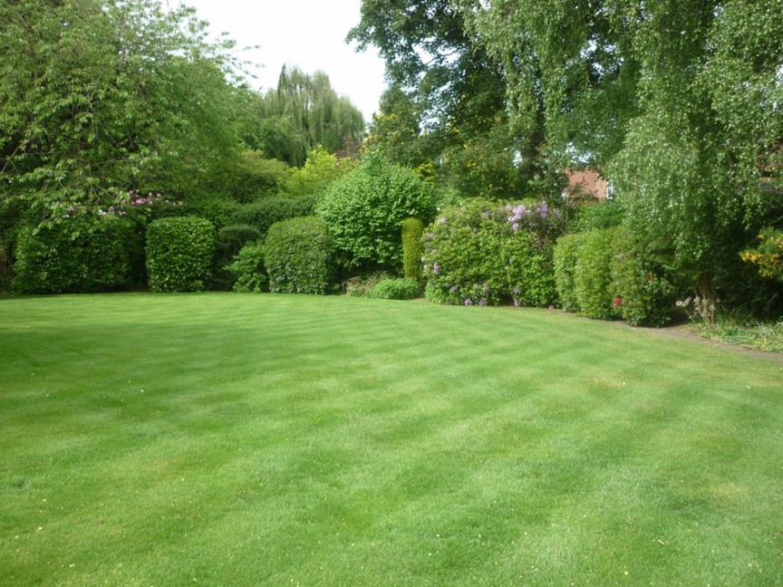 The Secret of A Great Lawn